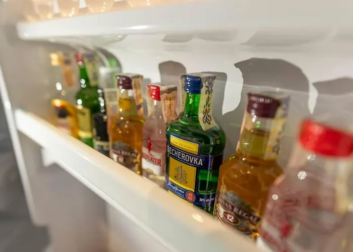 Apartament Trencan *